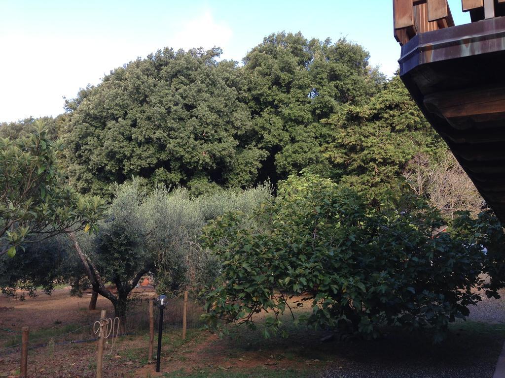 Agriturismo "La Rosa Canina" Bed and Breakfast Lerici Exteriör bild