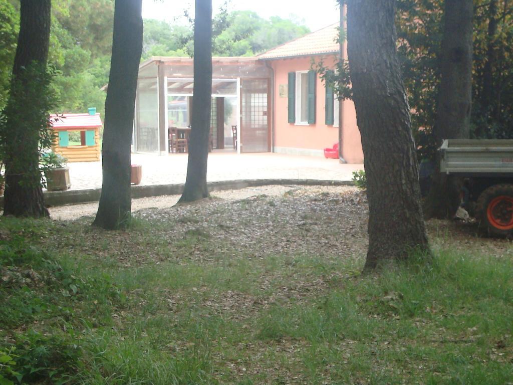 Agriturismo "La Rosa Canina" Bed and Breakfast Lerici Exteriör bild